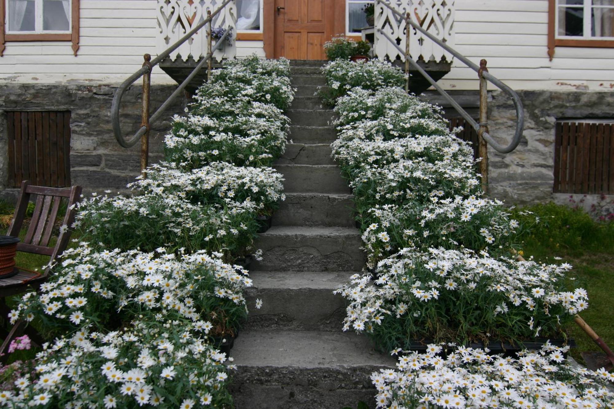 Overvoll Farm Stranda  Exterior foto