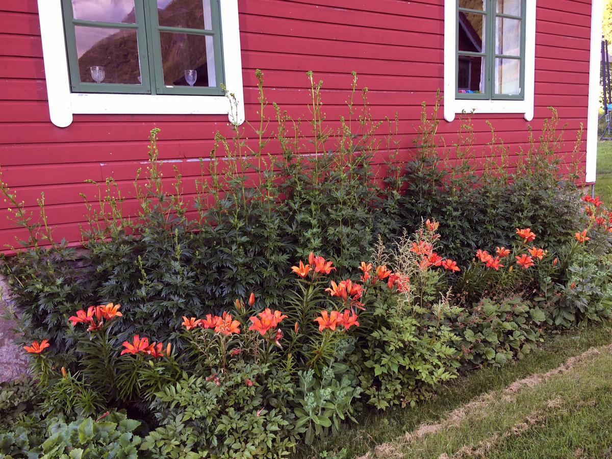 Overvoll Farm Stranda  Exterior foto